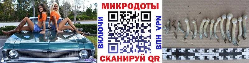 Галлюциногенные грибы мицелий  Ногинск 