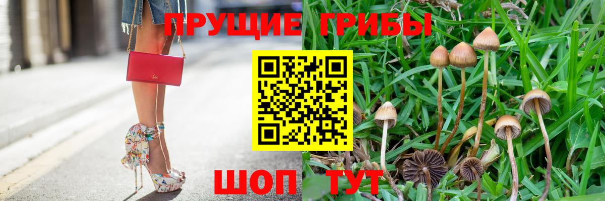 Псилоцибиновые грибы Cubensis  Псилоцибиновые грибы ЛСД  Ногинск  Вход с VPN 