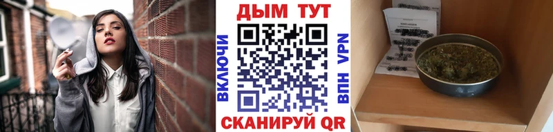 Бошки Шишки VHQ Ногинск